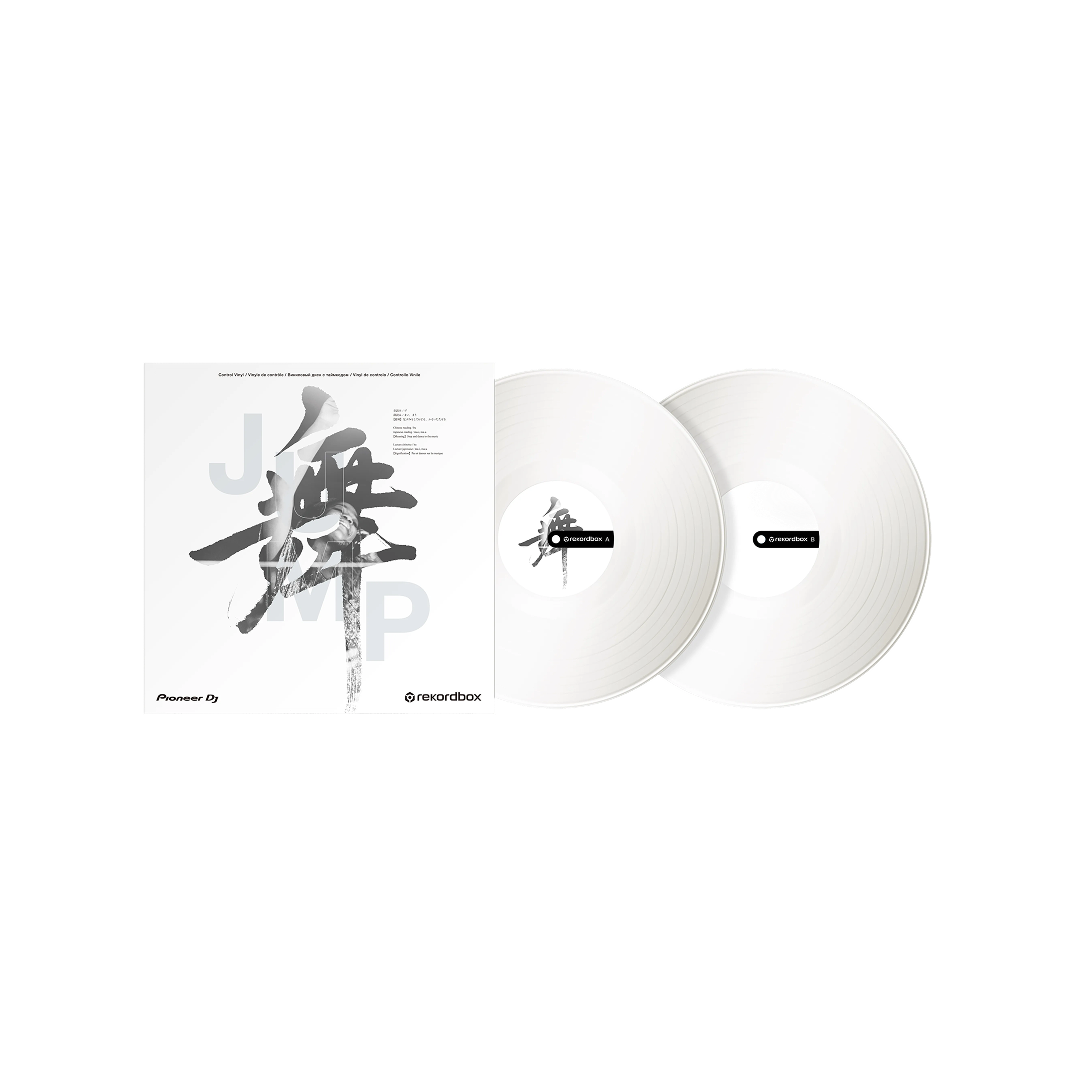 Pioneer DJ Control Vinyl - RB-VD2-W (Pair)